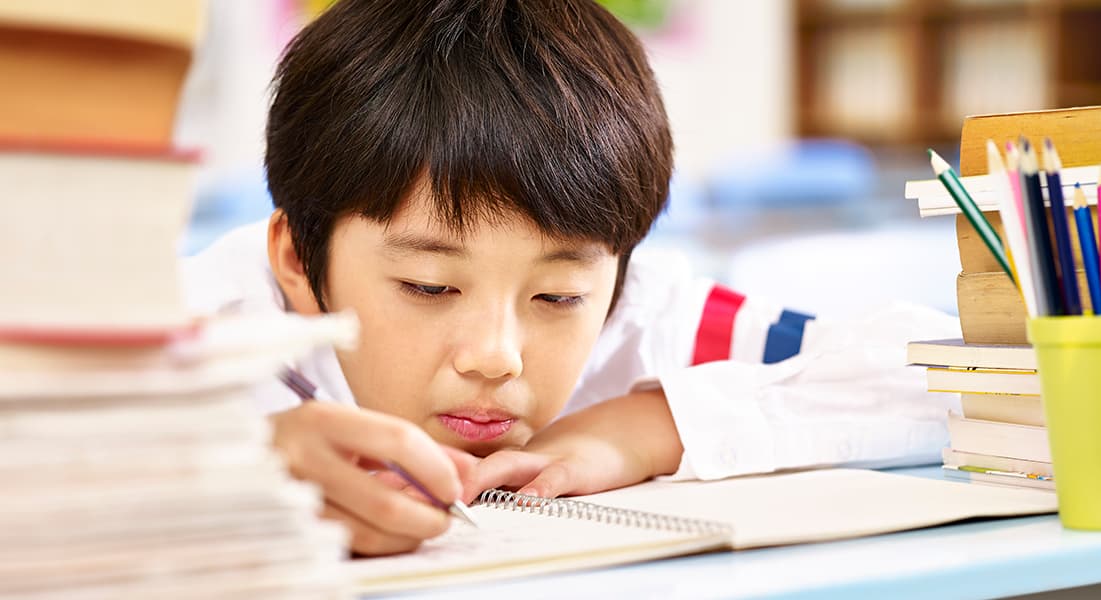 boy doing homework